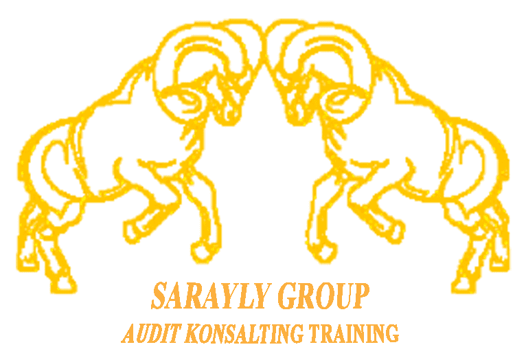 Sarayly Group 