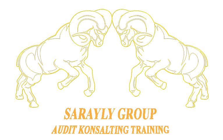 Sarayly Group 